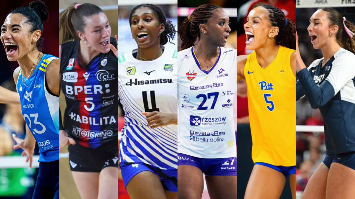 AvidVolley tweet media