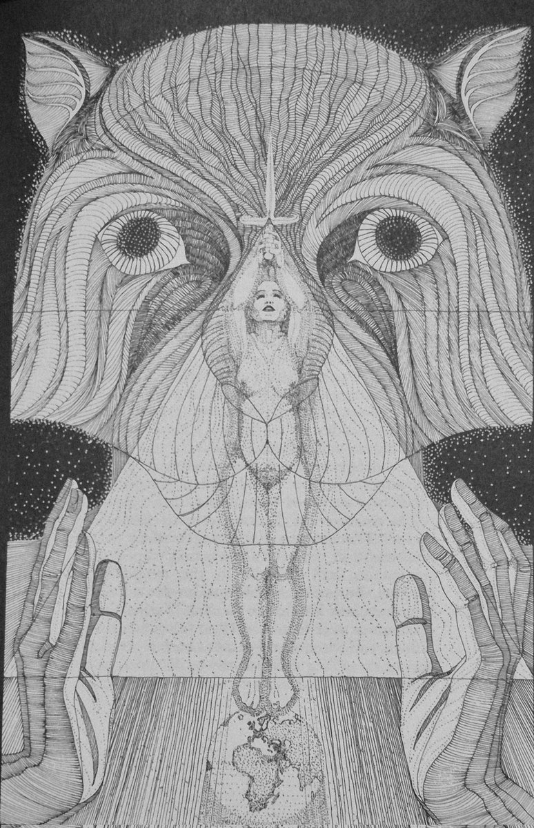 Books Landscape Magic tweet media