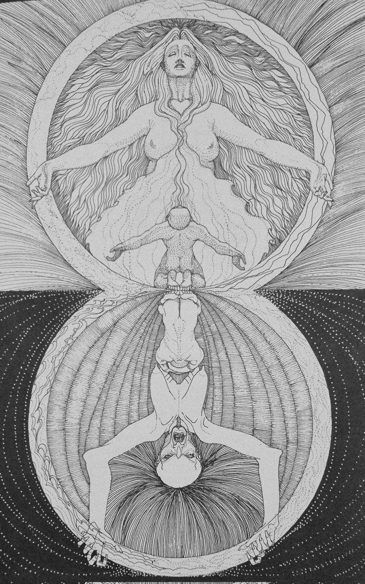 Books Landscape Magic tweet media