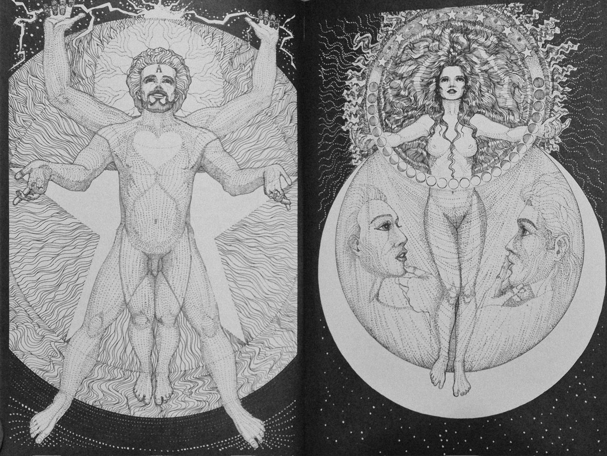 Books Landscape Magic tweet media