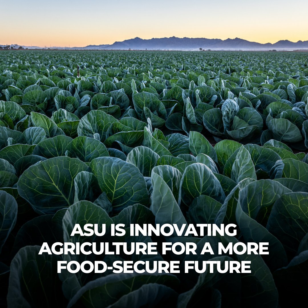 Arizona Board of Regents tweet media