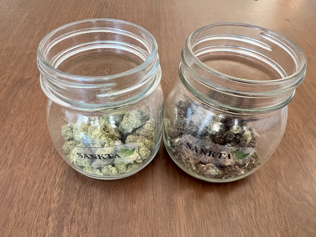 Evan de Bolsillo tweet media