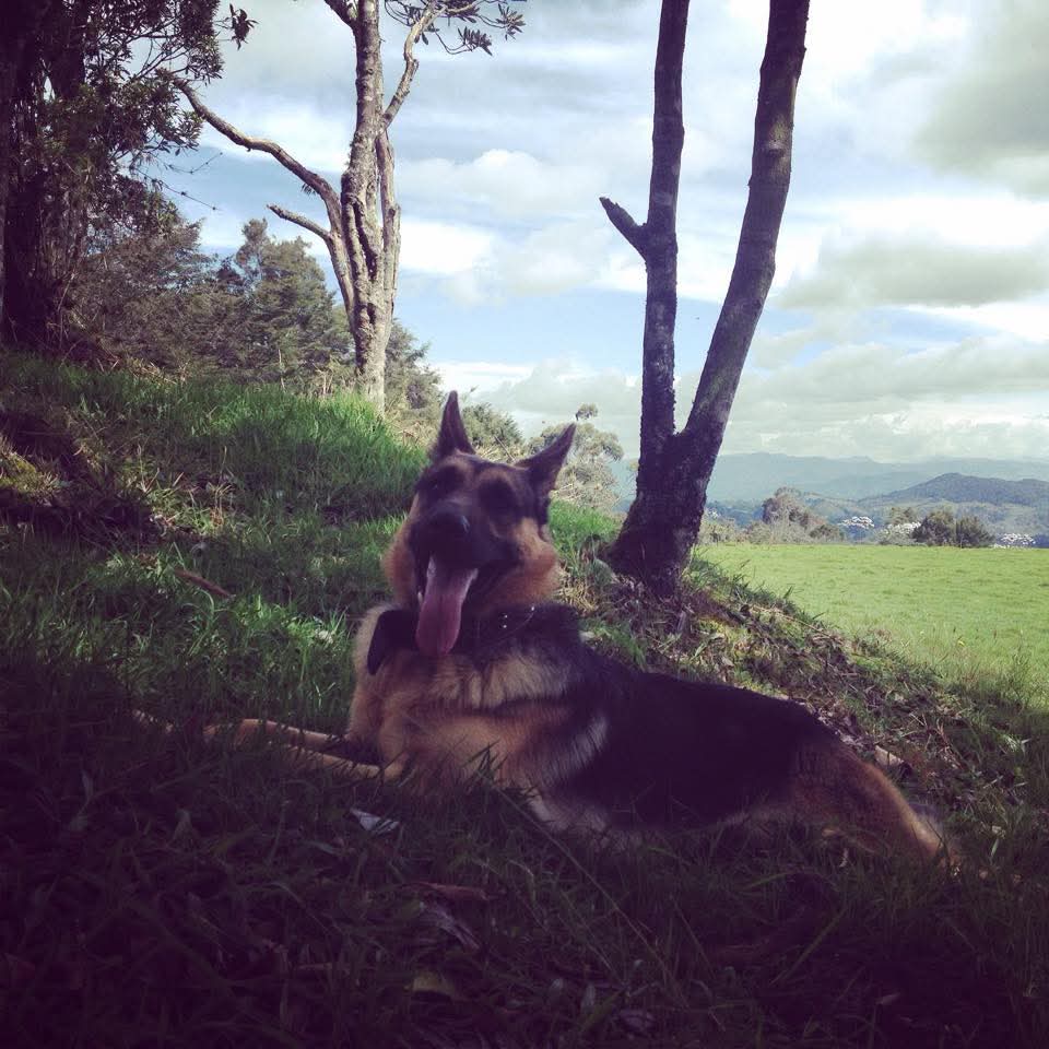 Juan Kiss tweet media