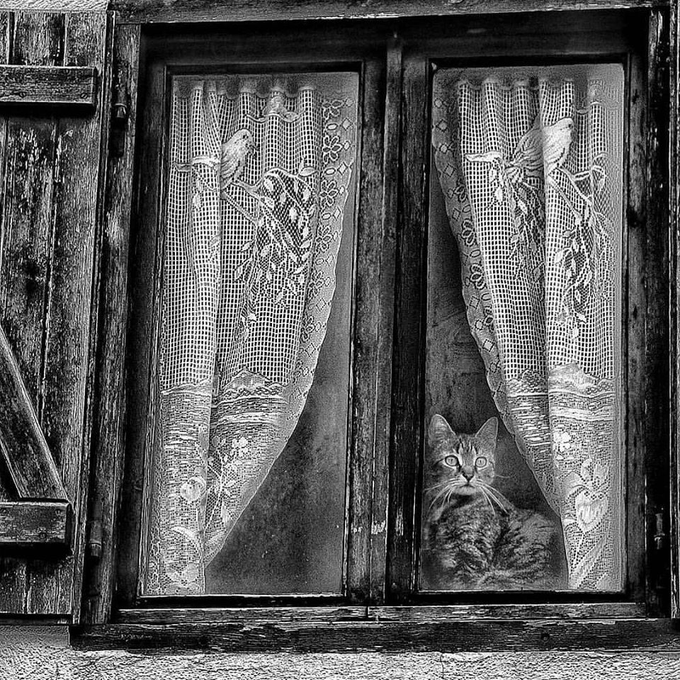 𝙈𝙖𝙟𝙖 𝙎𝙚𝙣𝙙𝙖  tweet media