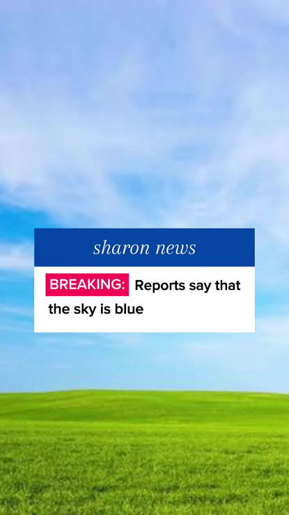 Koen Daviduk tweet media