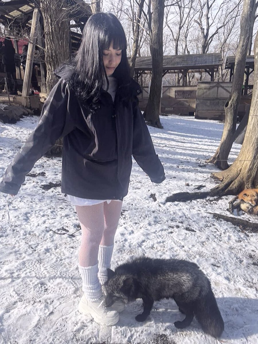 Sarah Midori Perry tweet media