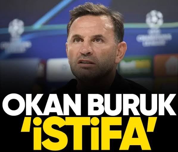 Deniz ✨ tweet media