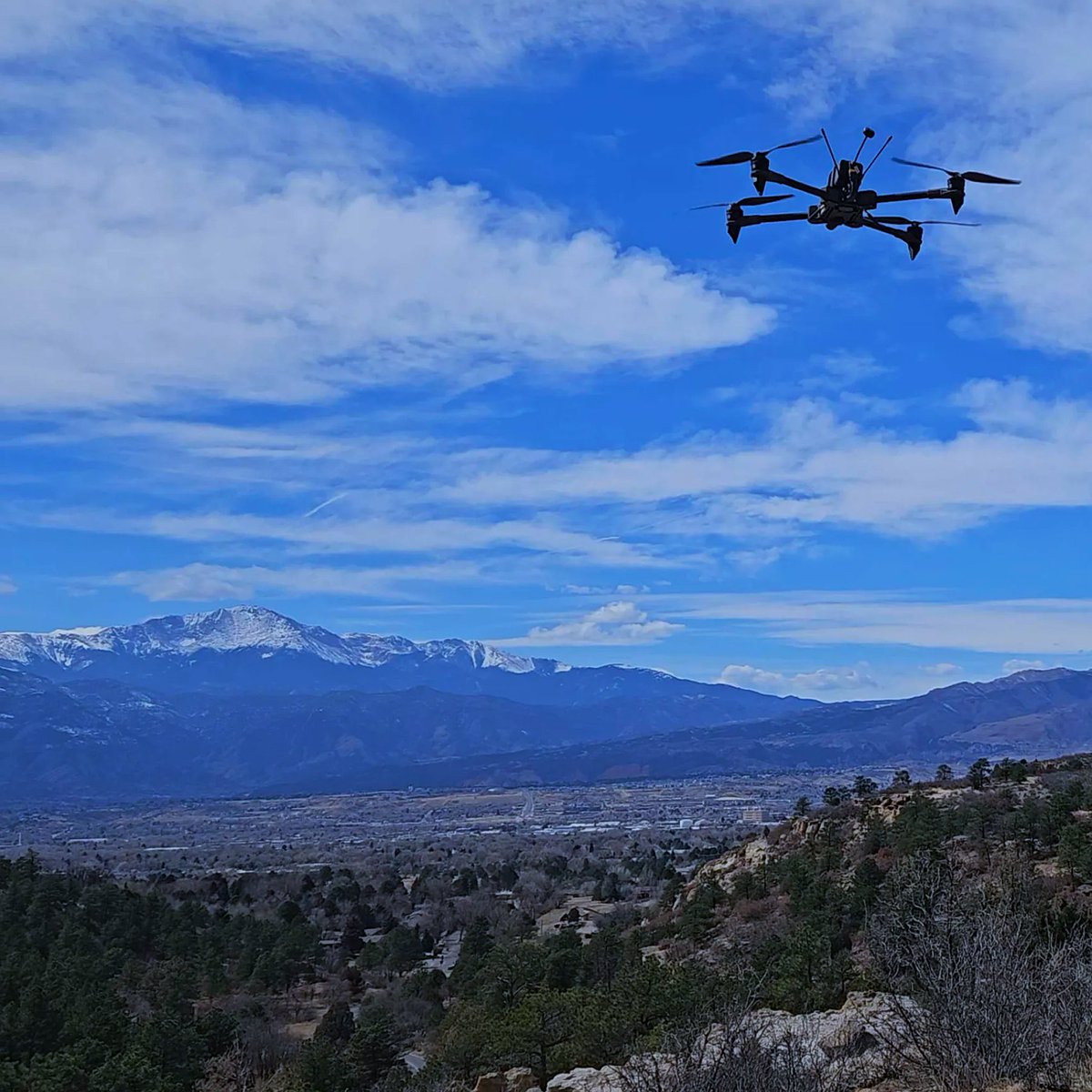 Canine Defense Technologies tweet media