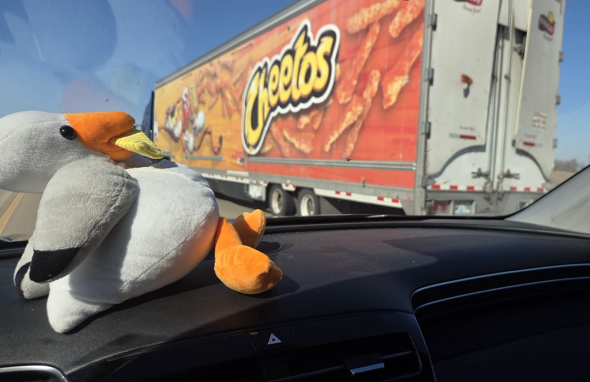 Scott Iceman Reck tweet media