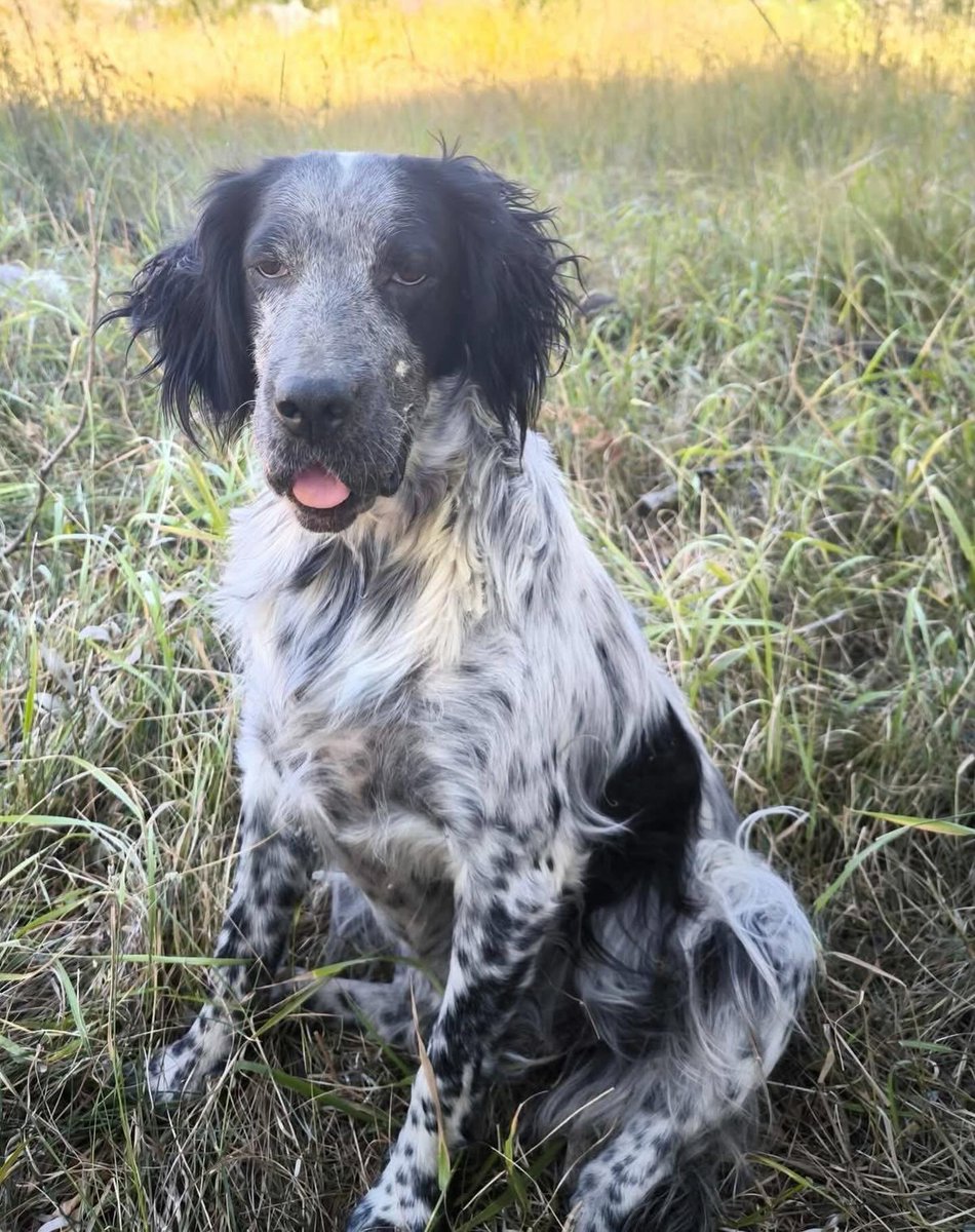 Zülal Kutluer tweet media