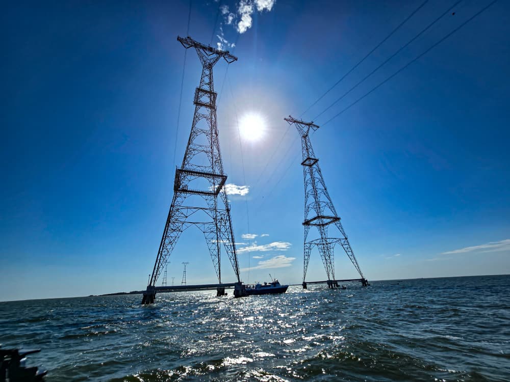 Lenin Danieri D tweet media