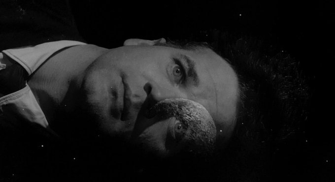 Stephen Gibbons tweet media