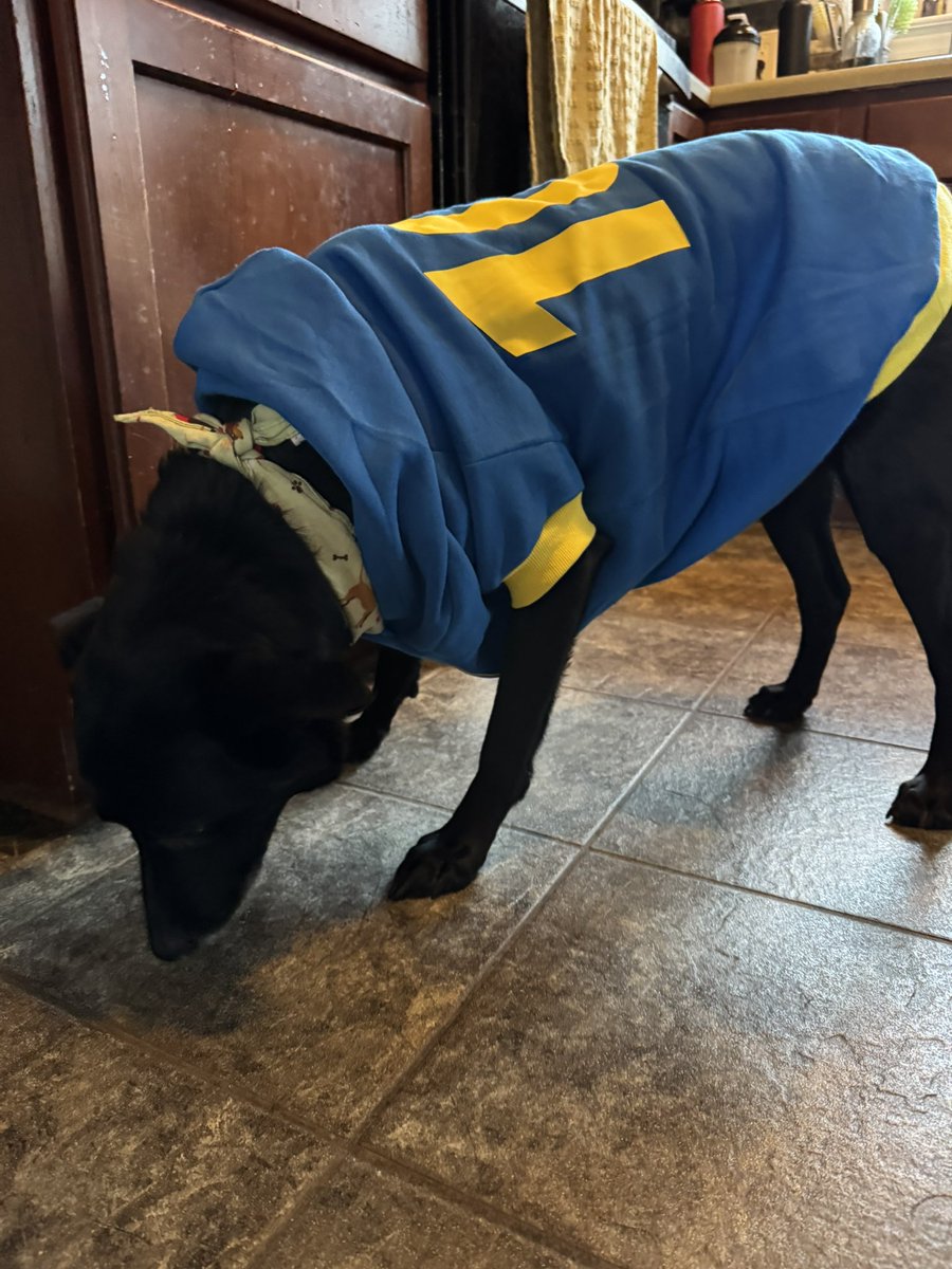 Sassylady🔜FalloutFanCelebration tweet media