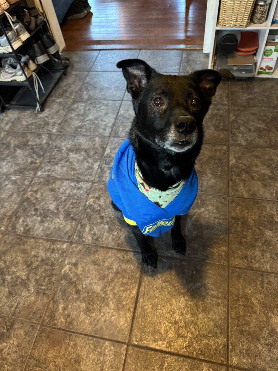 Sassylady🔜FalloutFanCelebration tweet media