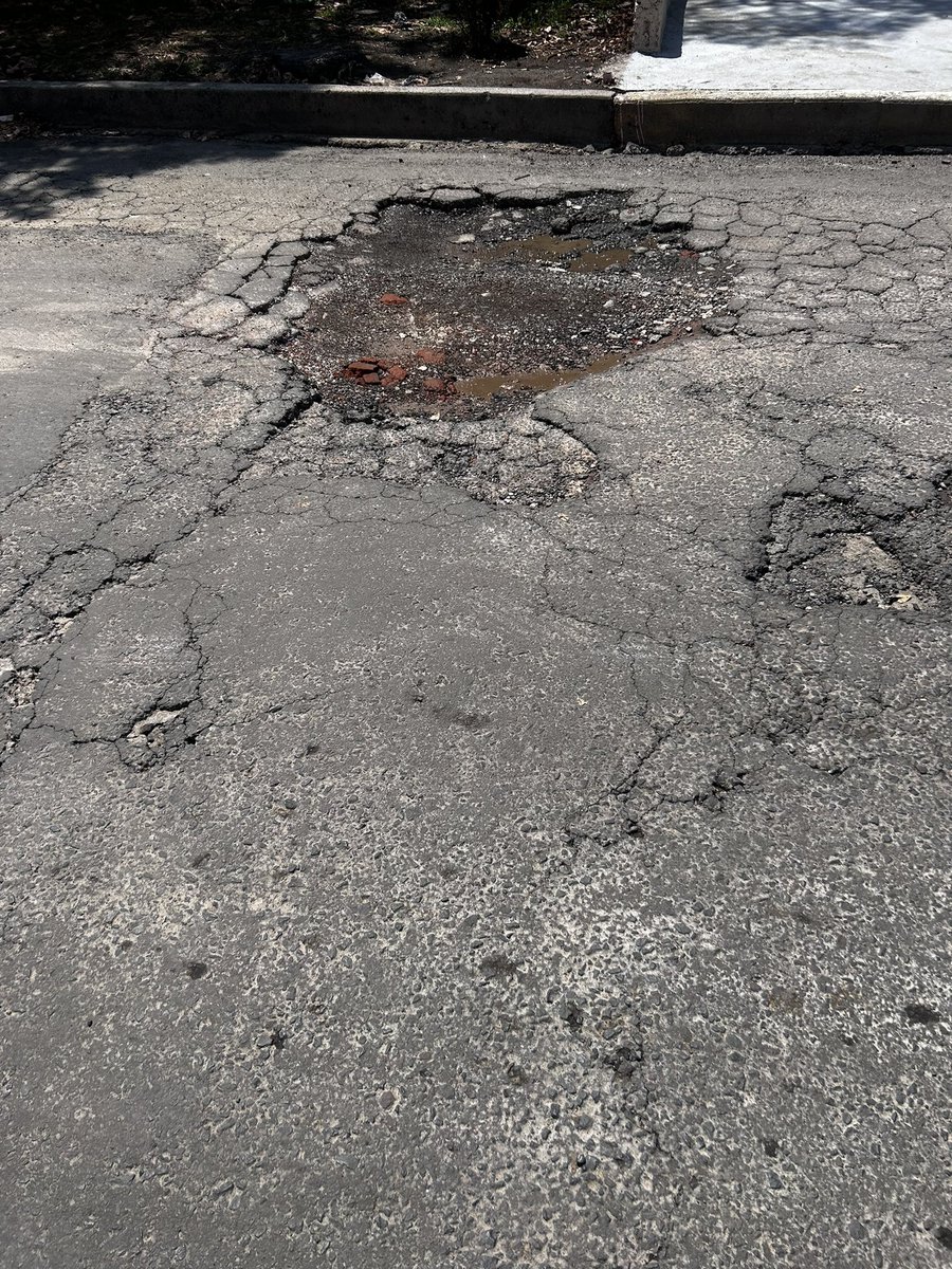 eleonsan tweet media