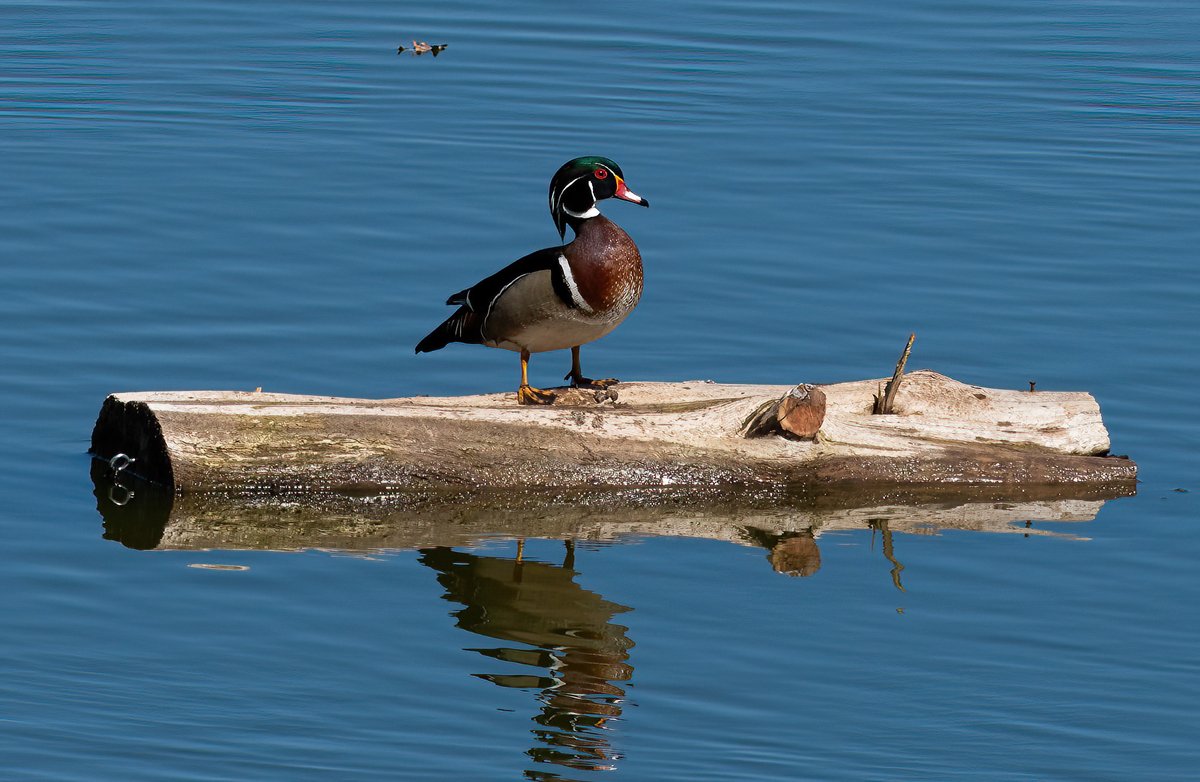 The Only James Magelk tweet media