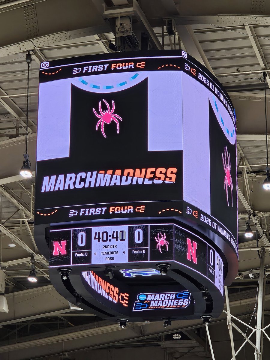 RollSpides 🕷 tweet media