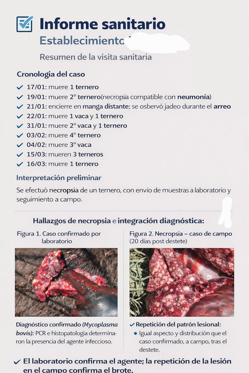 Marcos Saint Martin tweet media