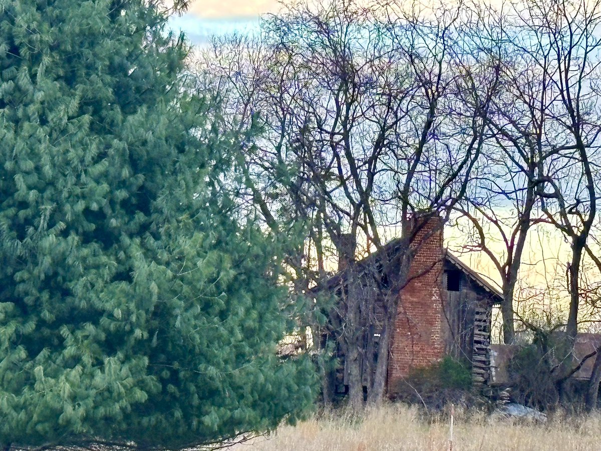 Louisa M Reid tweet media