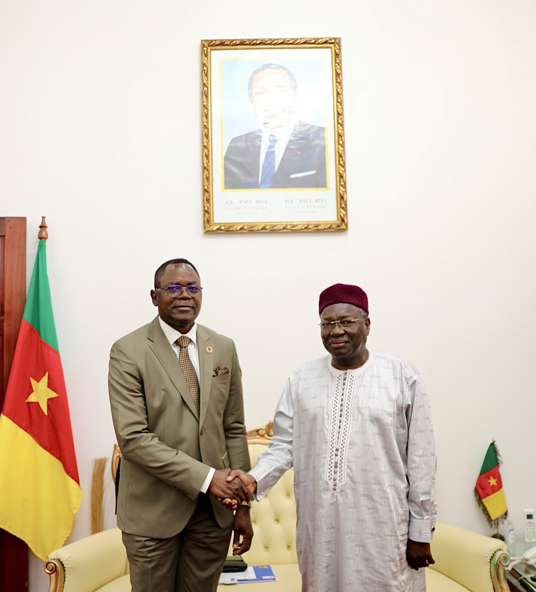 PNUD Cameroun tweet media