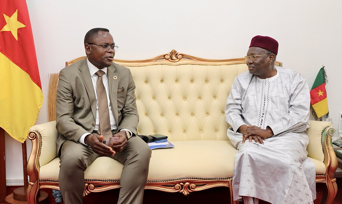 PNUD Cameroun tweet media