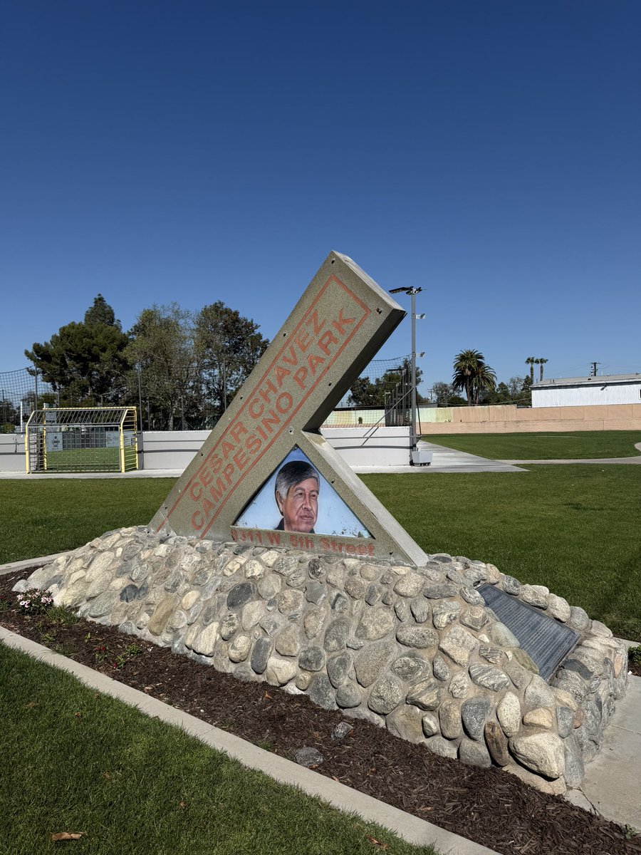 Bianca Buono tweet media