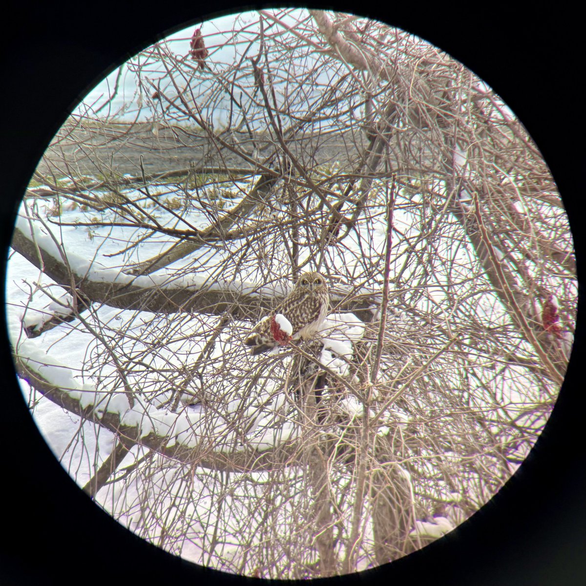 Dan Baldassarre tweet media