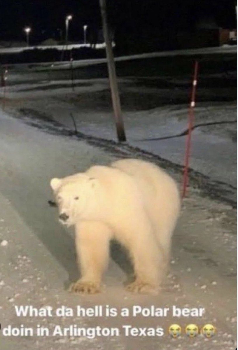 El ordenador de Edwards tweet media