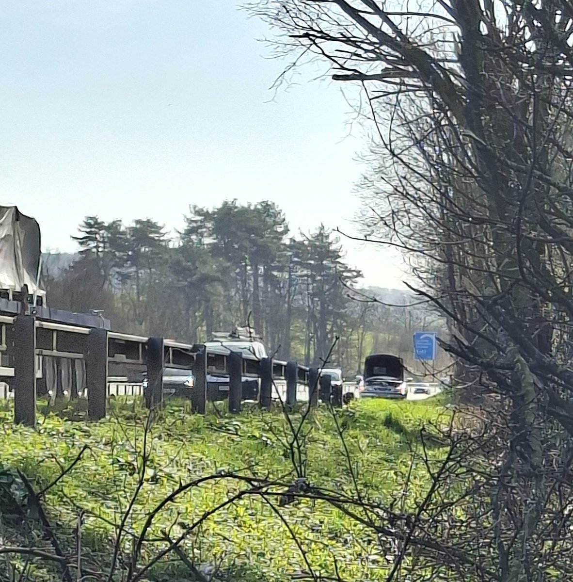 Rude Mechanical💚🏳️‍🌈🏳️‍⚧️🇵🇸 tweet media