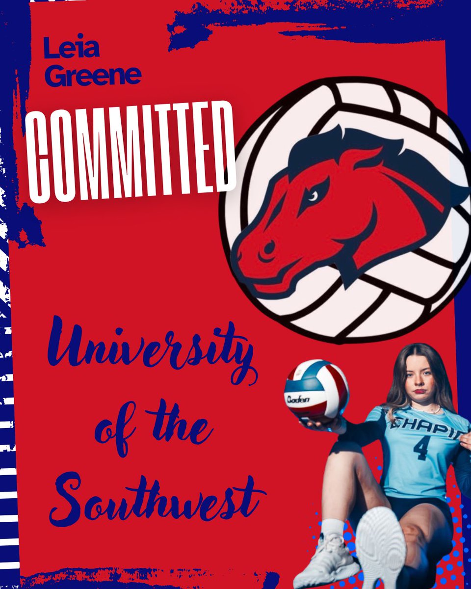 Chapin Volleyball tweet media