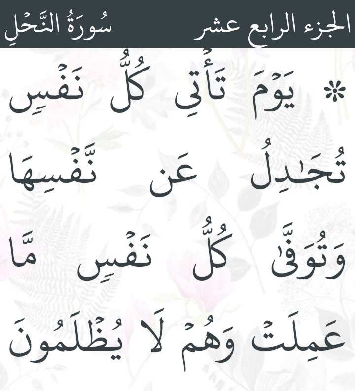النخـــــــــــاس tweet media