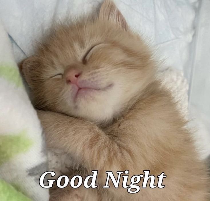 BTC_rasheed💰 tweet media