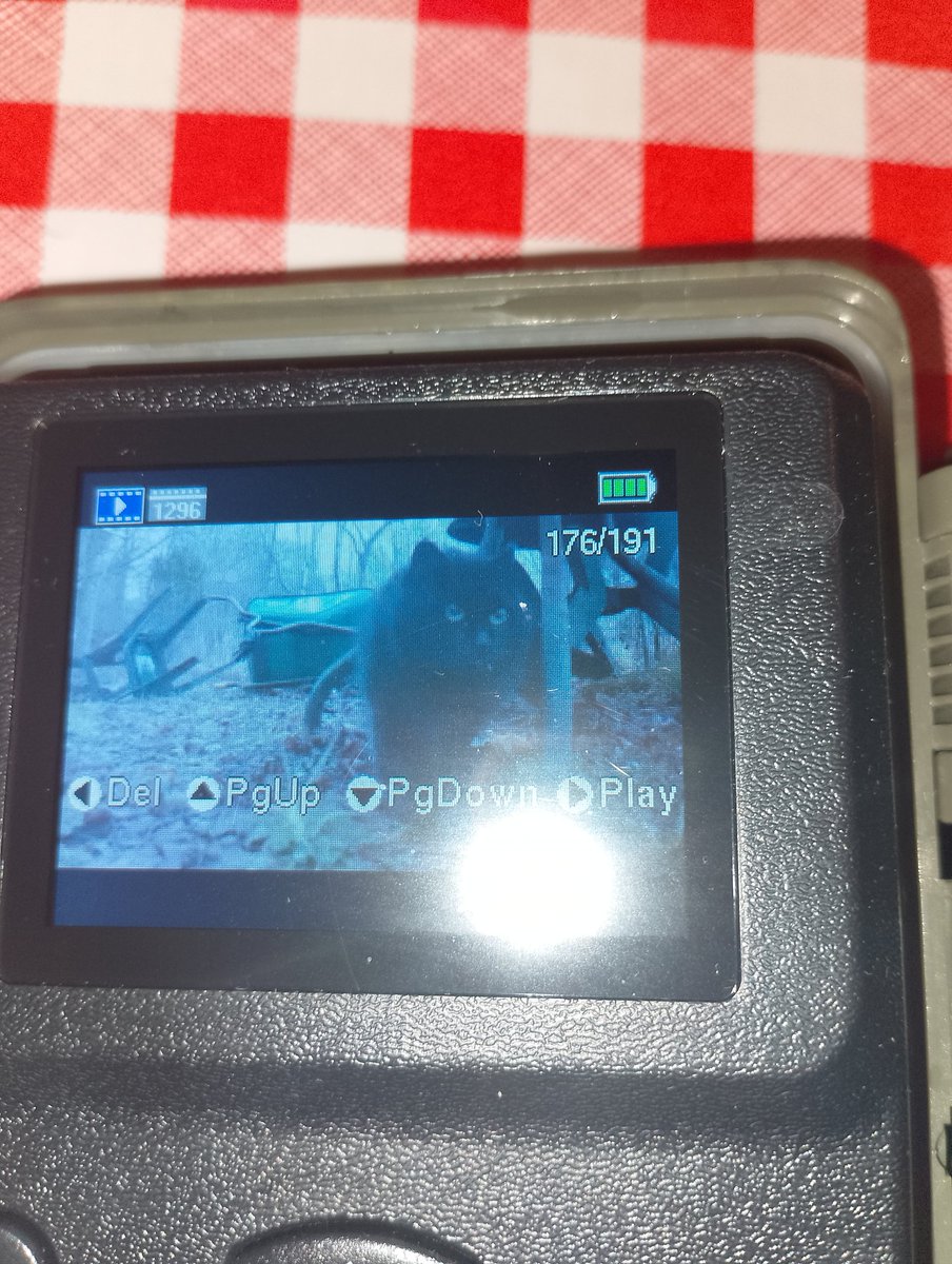 Vera Finlayson tweet media