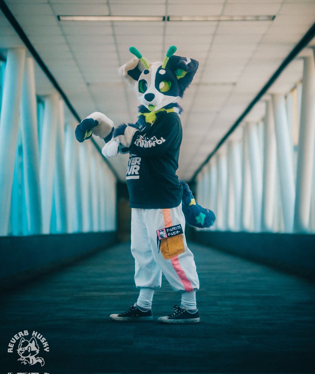 🍋Get Mad🍋🔜TFF tweet media