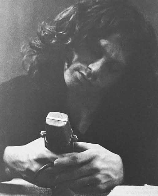 Jim Morrison ( Fan profile) tweet media