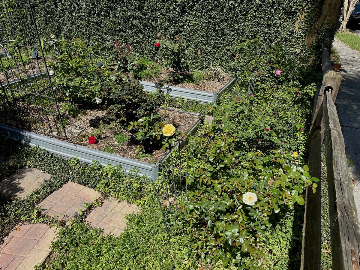 Patrick Skinner tweet media