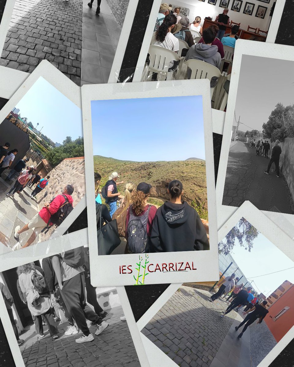 IES Carrizal tweet media