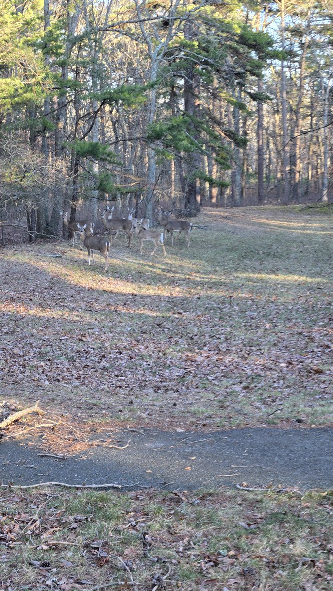 Donnie 'RightSide' Seymour tweet media