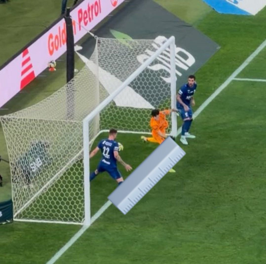 قلم أخضر tweet media