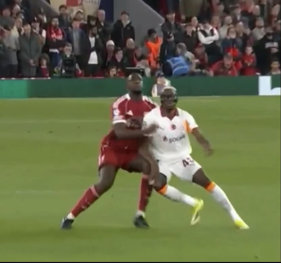 Mr. Penguin 🐧🐧🐧 #InMyKnicksSupporterEra tweet media