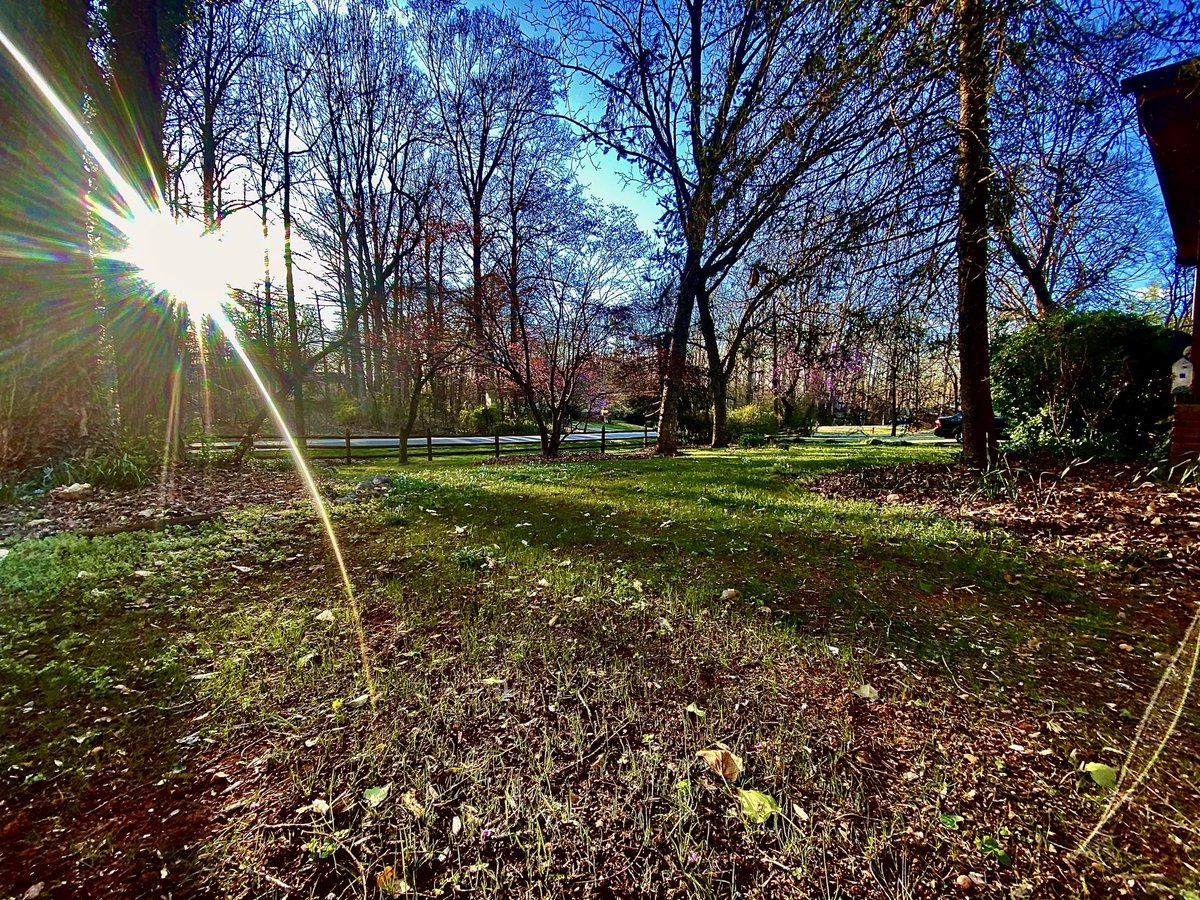 Brian’s Tale tweet media