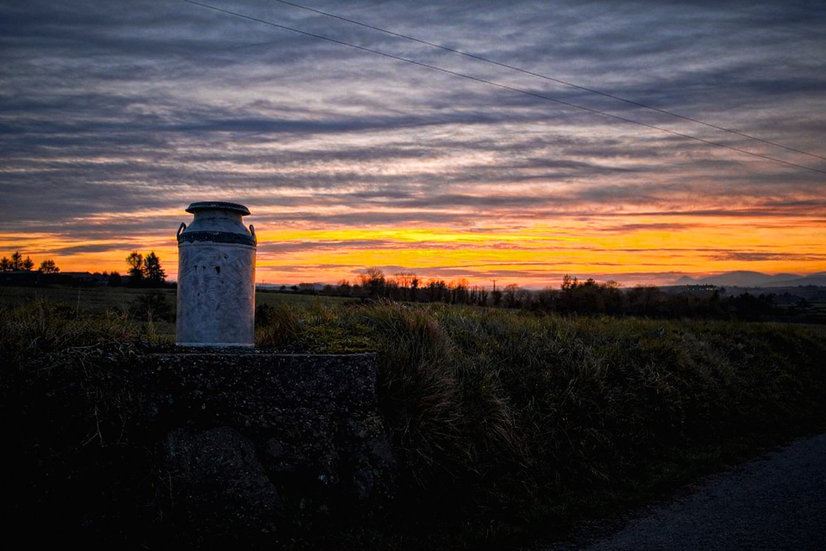 Patrick Kenealy tweet media