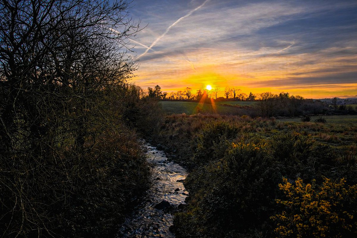 Patrick Kenealy tweet media