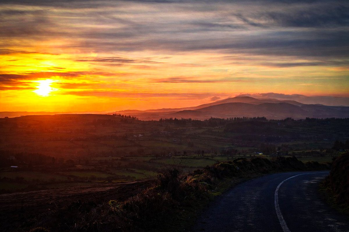 Patrick Kenealy tweet media