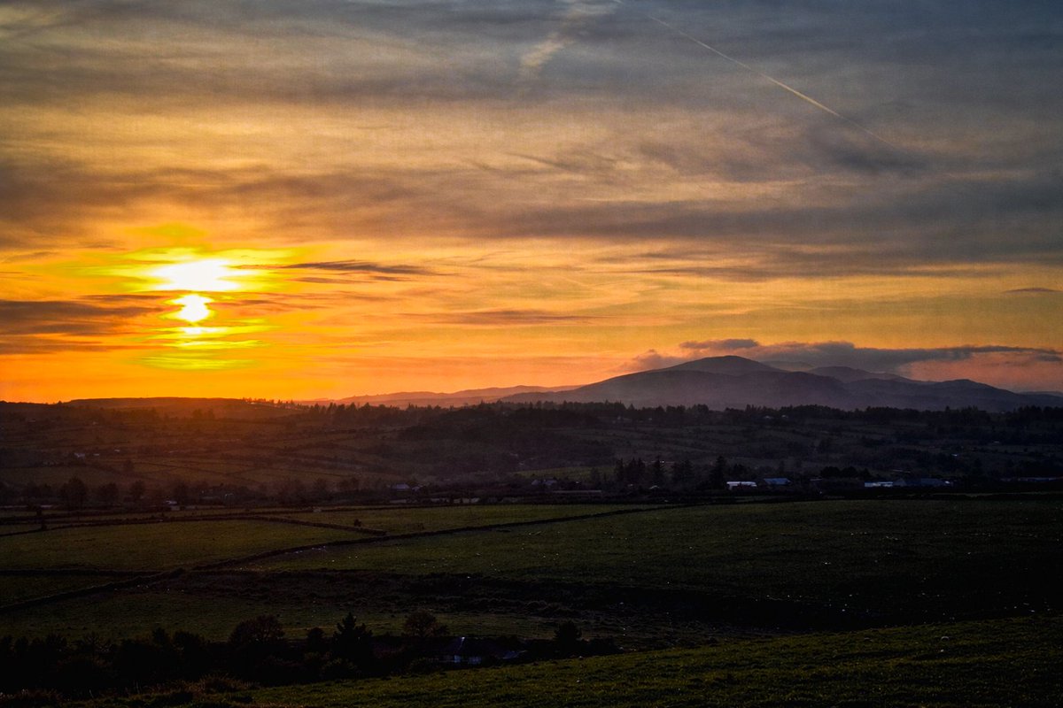 Patrick Kenealy tweet media