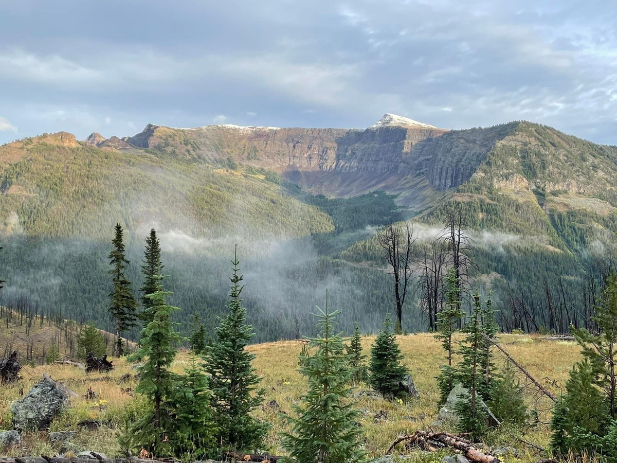 KC NoDak Brim 🇺🇸 tweet media