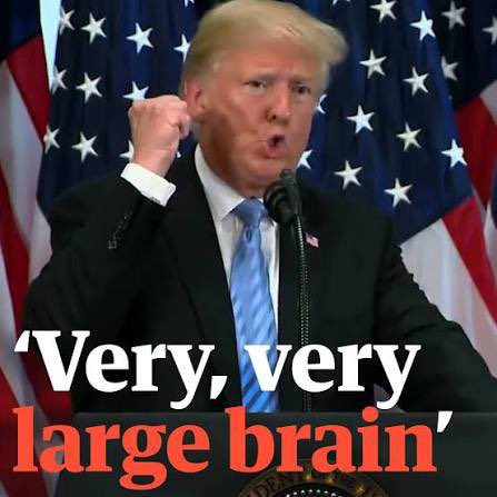 Gerald Knaus tweet media