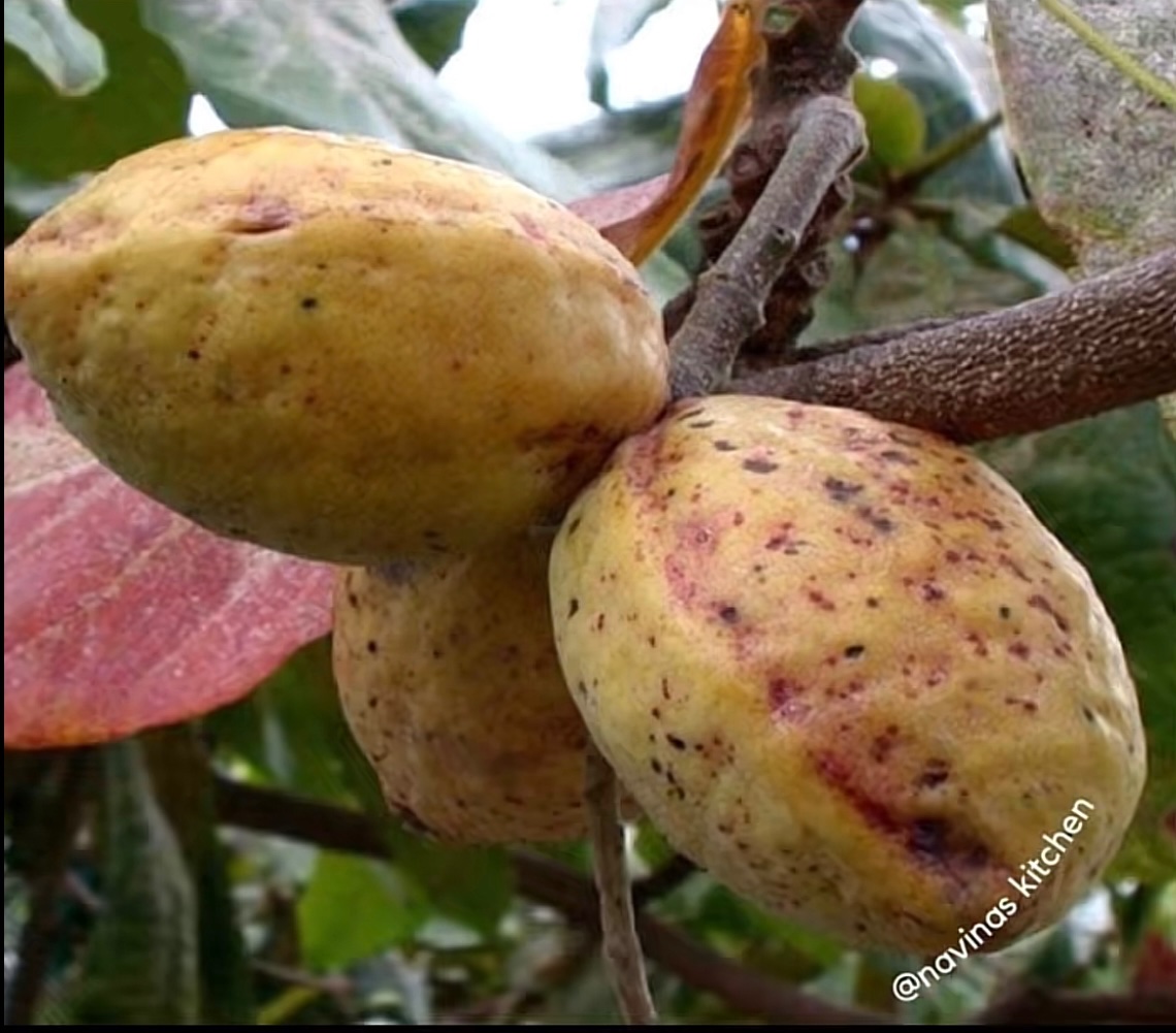 honest30bgfan tweet media