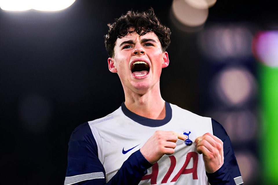 WanderTHFC tweet media