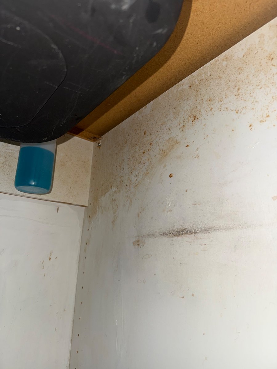 Noah Ryan tweet media